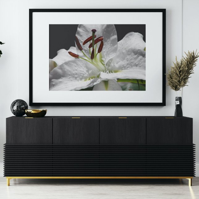 Poster Élégante Lys Orientales Blanches Florales (In Situ)