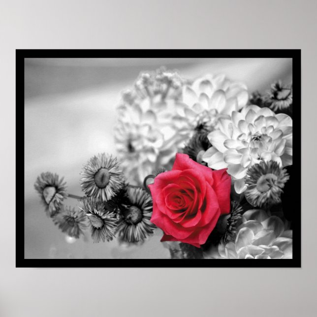 Poster Élégante Rose rouge (Devant)
