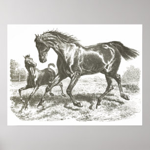 Poster Élégante Vintage mère et bébé Cheval à la course