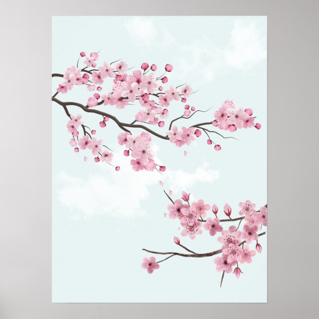 Poster Élégantes fleurs de cerises roses (Devant)