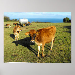 Poster Eléments Jersey, St John, Jersey