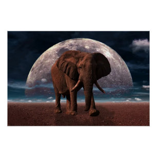 Poster Eléphant