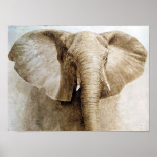Poster Elephant 2004