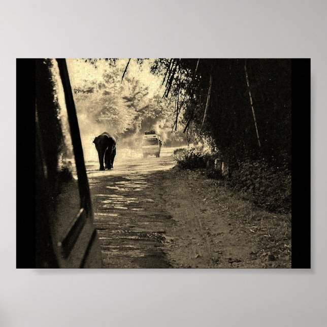Poster Eléphant à flâner (Devant)