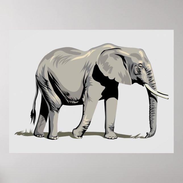 Poster Eléphant Animé (Devant)