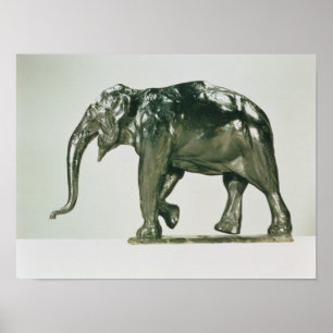 Poster Eléphant blanc