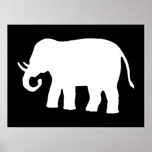 Poster Eléphant blanc