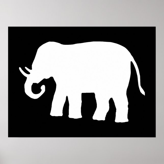 Poster Eléphant blanc (Devant)
