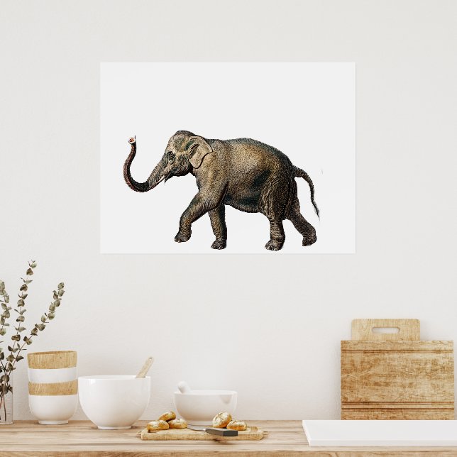 Poster Éléphant de la faune (Cuisine)