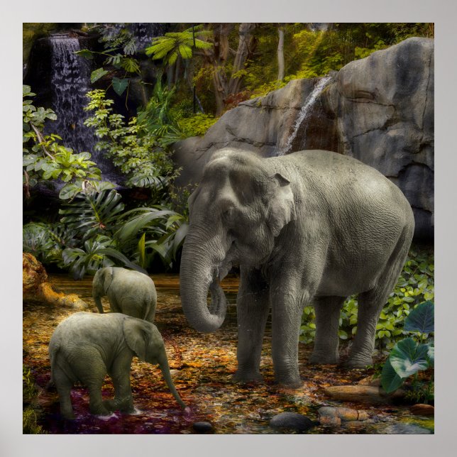 Poster Elephant Family RAIN FOREST PARTI (Devant)
