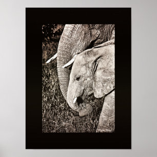 Poster Elephant photo Art africain PORTFOLIO taille