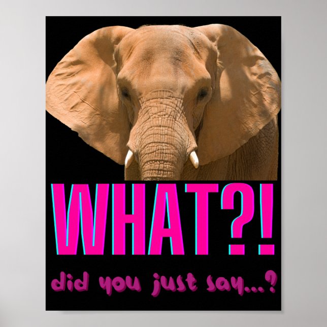 Poster Elephant Que Viens-Tu De Dire ? (Devant)