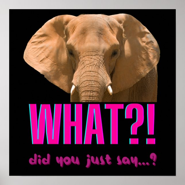 Poster Elephant Que Viens-Tu De Dire ? (Devant)