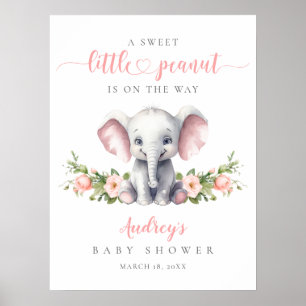 Poster Eléphant rose Floral Baby Girl Douche Bienvenue