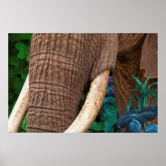 Poster Elephant Tend Mon Jardin (Devant)