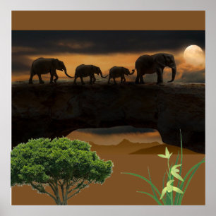 Poster Éléphants