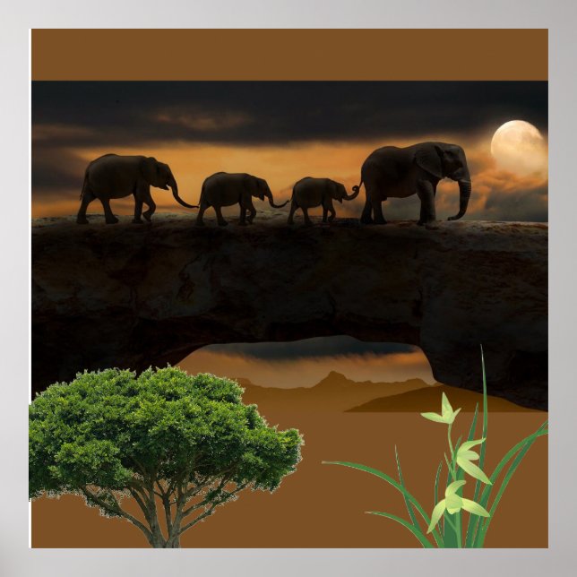 Poster Éléphants (Devant)