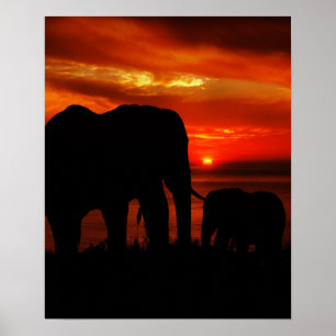 Poster Eléphants au coucher du soleil