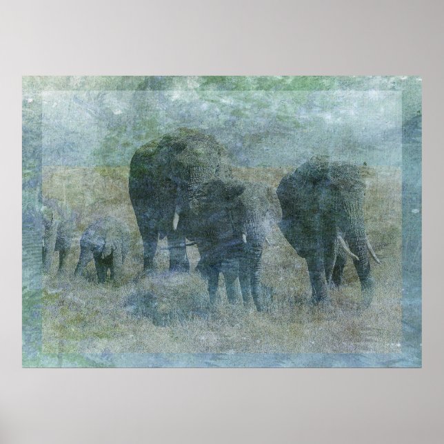 Poster Eléphants de Chalk (Devant)
