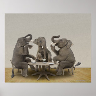 Poster Elephants having tea party