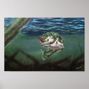 Poster Éleuré Dans La Pêche Basse À Grosse Bouche