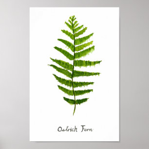 Poster Elever watercolor