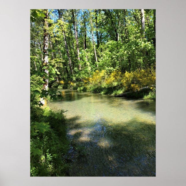 Poster Elijah Bristow State Park, Dexter, Oregon (Devant)