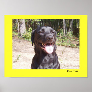Poster Elise 2006