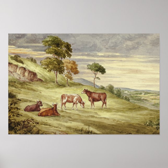 Poster Elizabeth Murray - Deer Park, probablement Kilkenn (Devant)