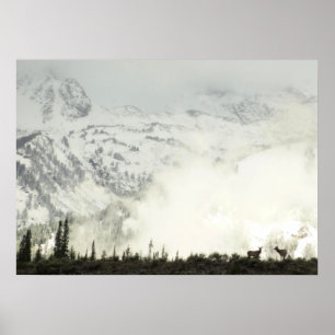 Poster Elk at Grand Teton National Park Photographie