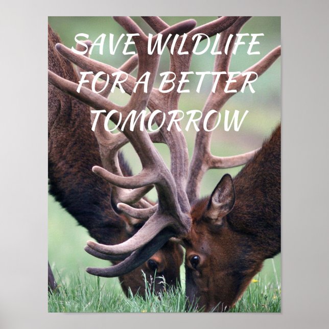 Poster Elk, sauvez la faune pour un avenir meilleur La na (Devant)