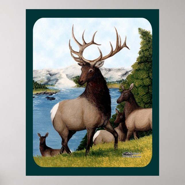 Poster Elk Wapiti (Devant)