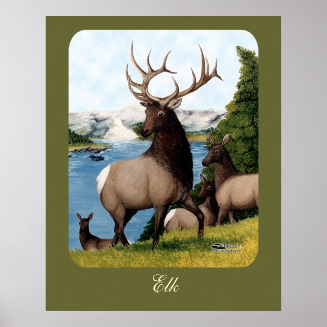 Poster Elk Wapiti (Devant)