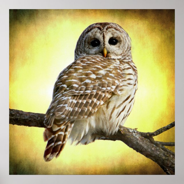 Poster Elle voit au coeur de moi (Devant)