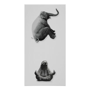 Poster Élphant et Paresseux Méditatif en Harmonie