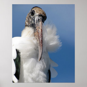 Poster Elvis - Bois Stork