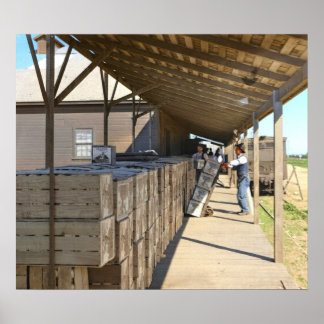 Poster Emballage Pour Oranges D'Expédition Ontario CA 191