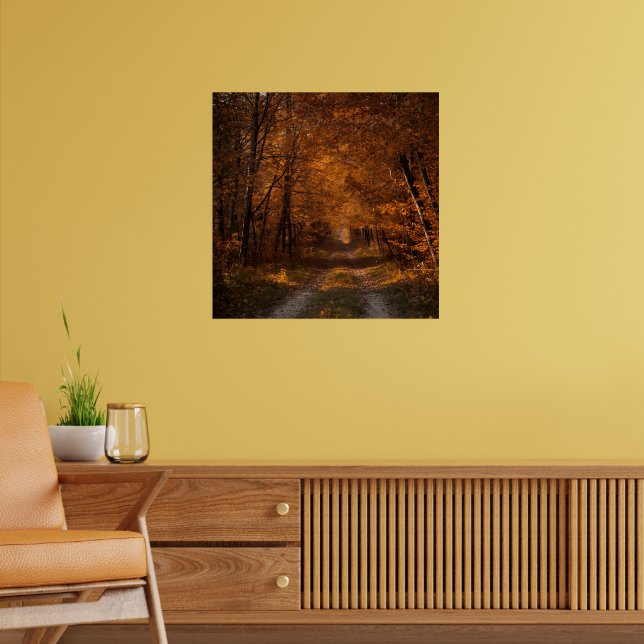 Poster Embrace d'automne - Tranquil Forest Path Fine Art  (Salon 2)