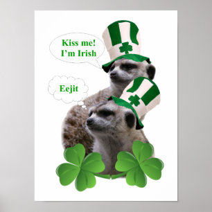 Poster Embrasse-moi Je suis un meerkat design irlandais