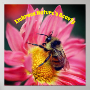 Poster Embrasser la nature abeille sur la marguerite Insp