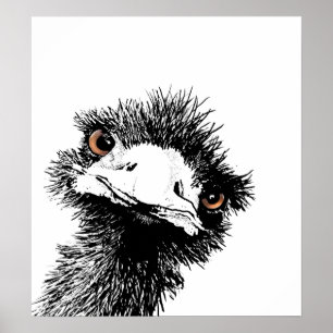 Poster Émeu - à l'encre