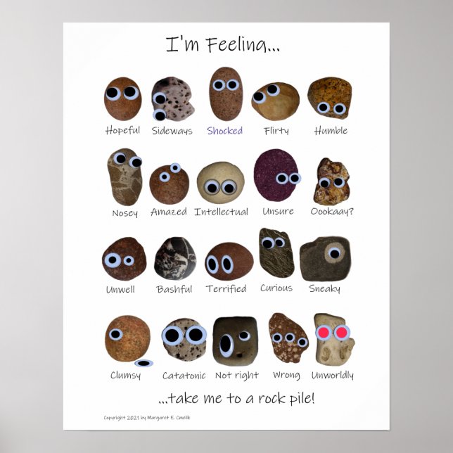 Poster Emotions des poils rocheux, rochers aux yeux googl (Devant)
