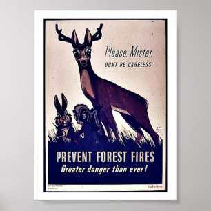 Poster Empêcher les incendies de forêt