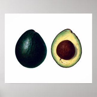 Poster Empreinte botanique AVOCADOS