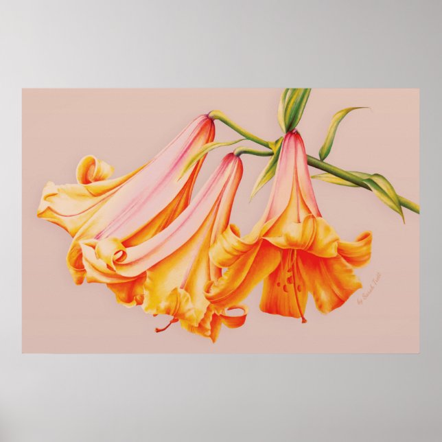 Poster Empreinte de l'affiche "Lilies" (Devant)