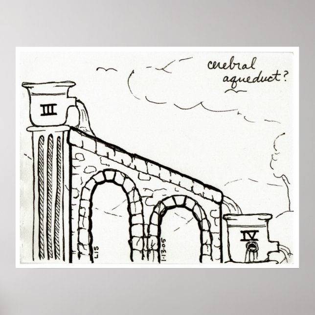 Poster Empreinte de l'aqueduc céréalier (Devant)