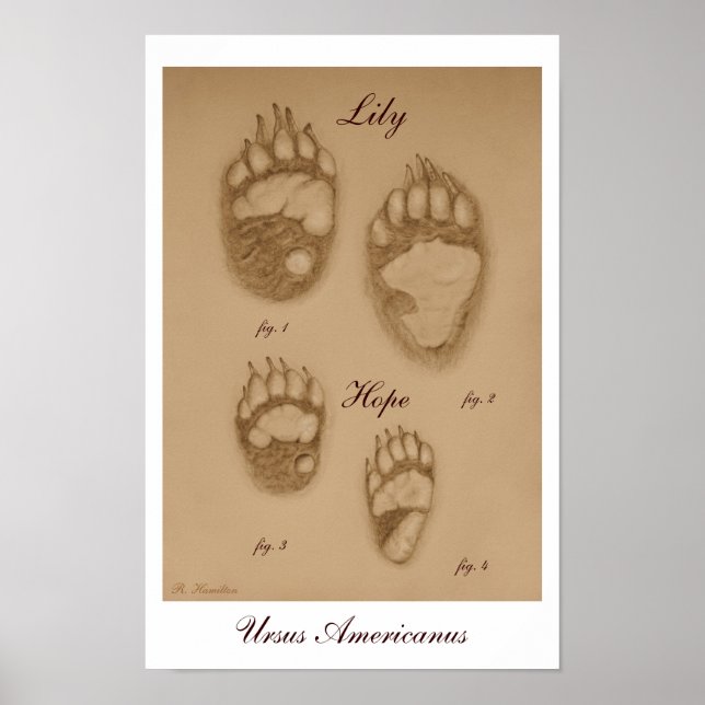 Poster Empreinte de patte Lily et Hope (Devant)