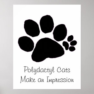 Poster - Empreinte de patte Polydactyl
