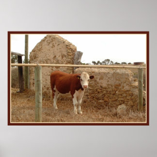 Poster empreinte de vache rouge avec bordure