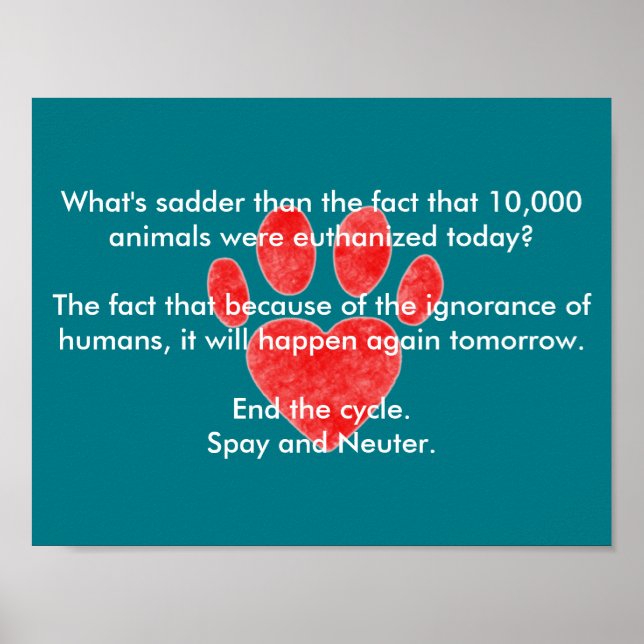 Poster Empreinte Spy & Neuter (Devant)